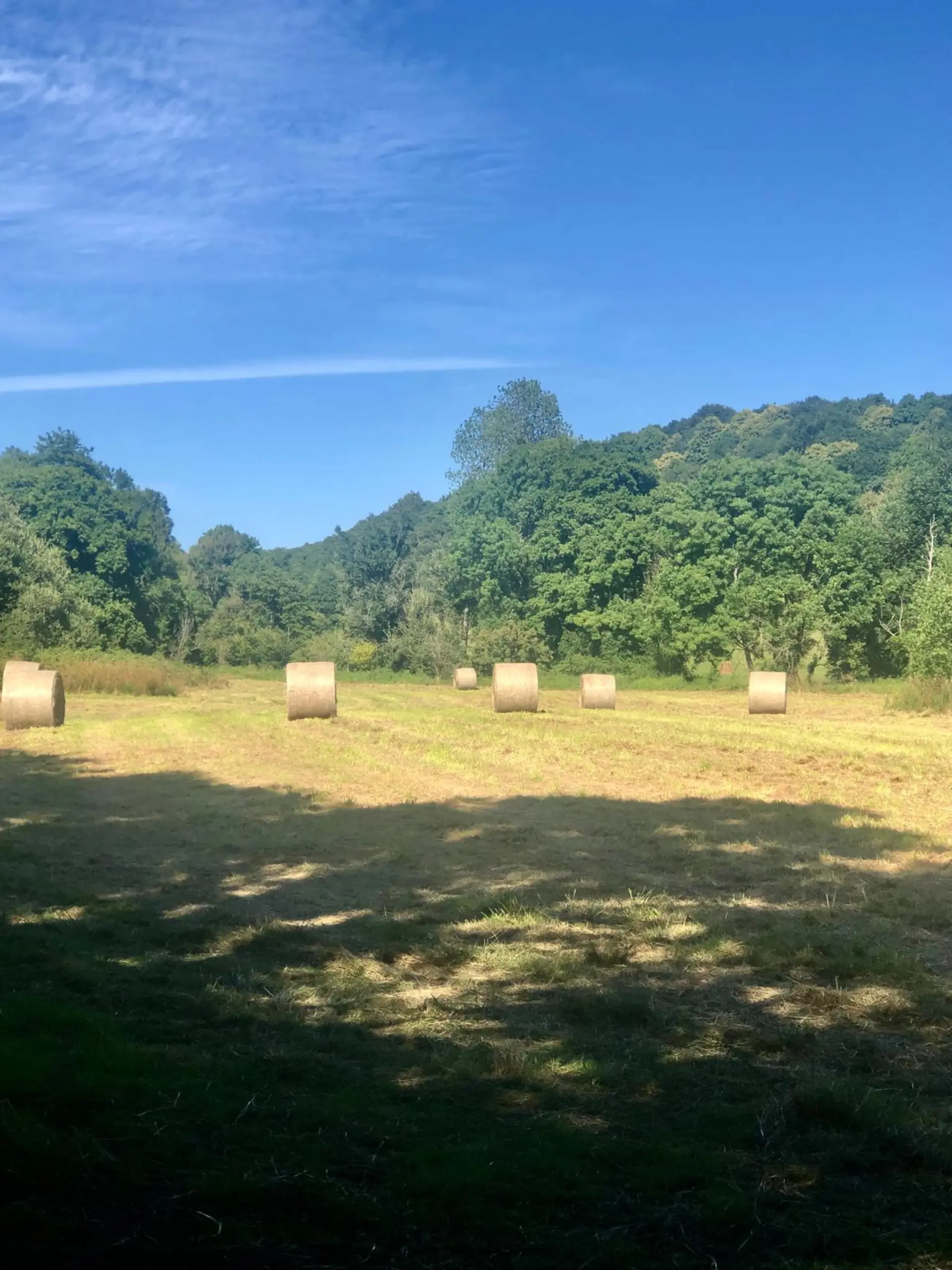 Prairie avec bottes de foin dans la vallée de Lopérec, paysage breton typique