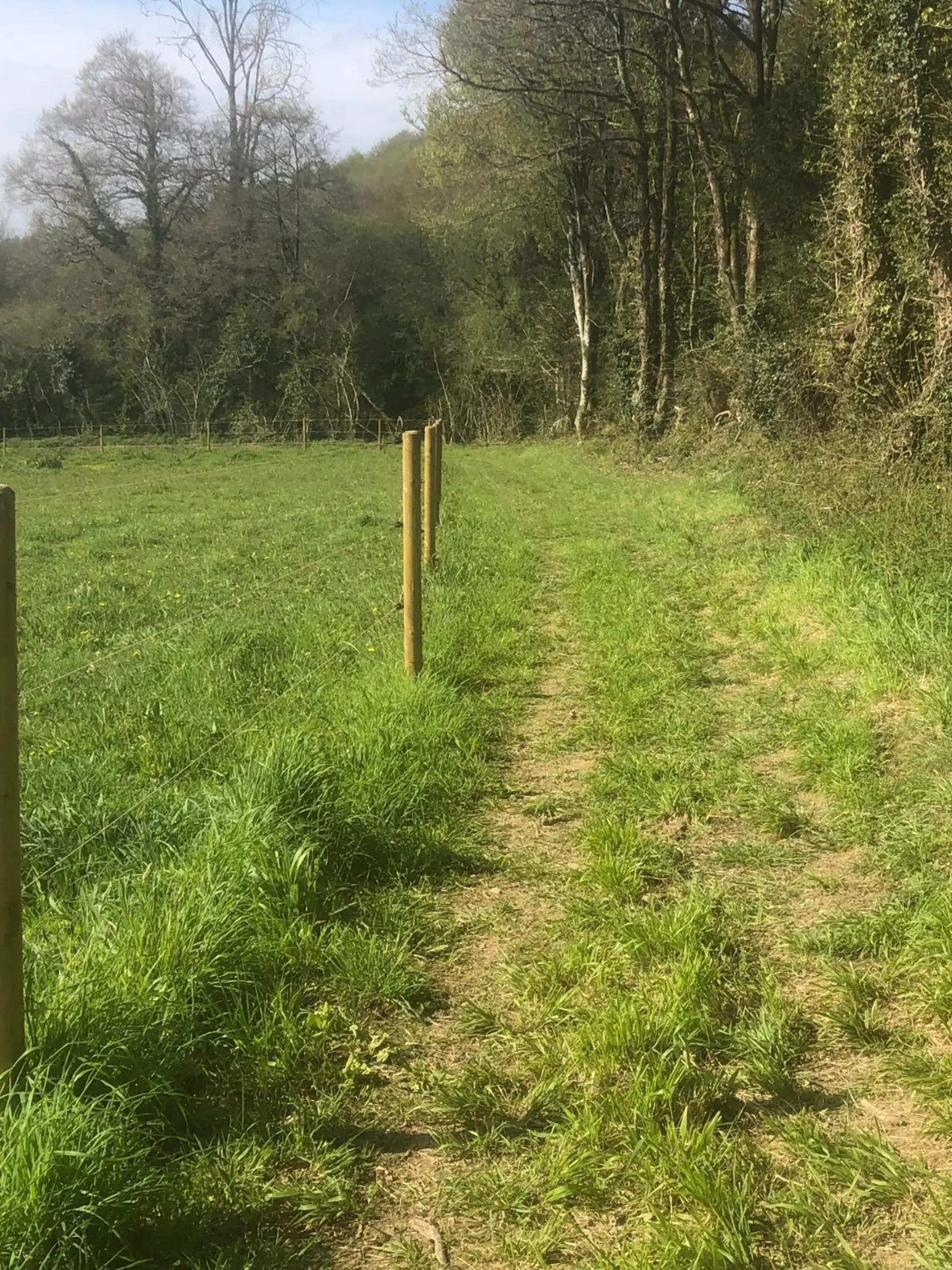 Sentier équestre en forêt depuis la pension chevaux